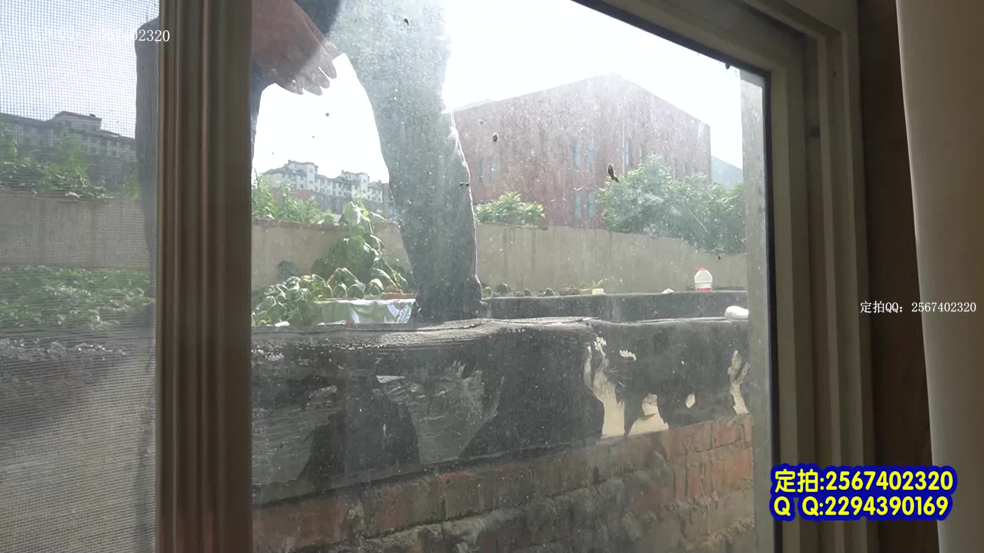 【MJ影视】断足女井