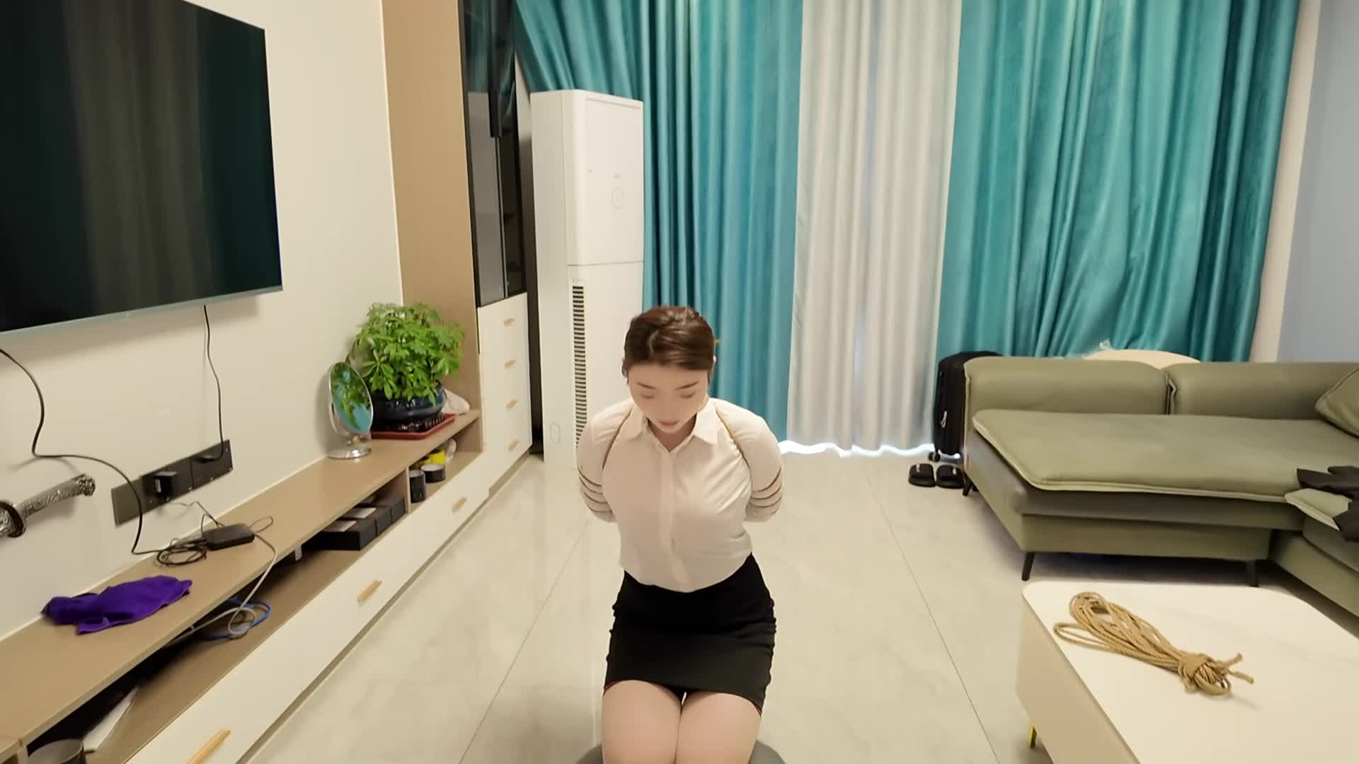 【李大侠原创】 为了业绩 下集