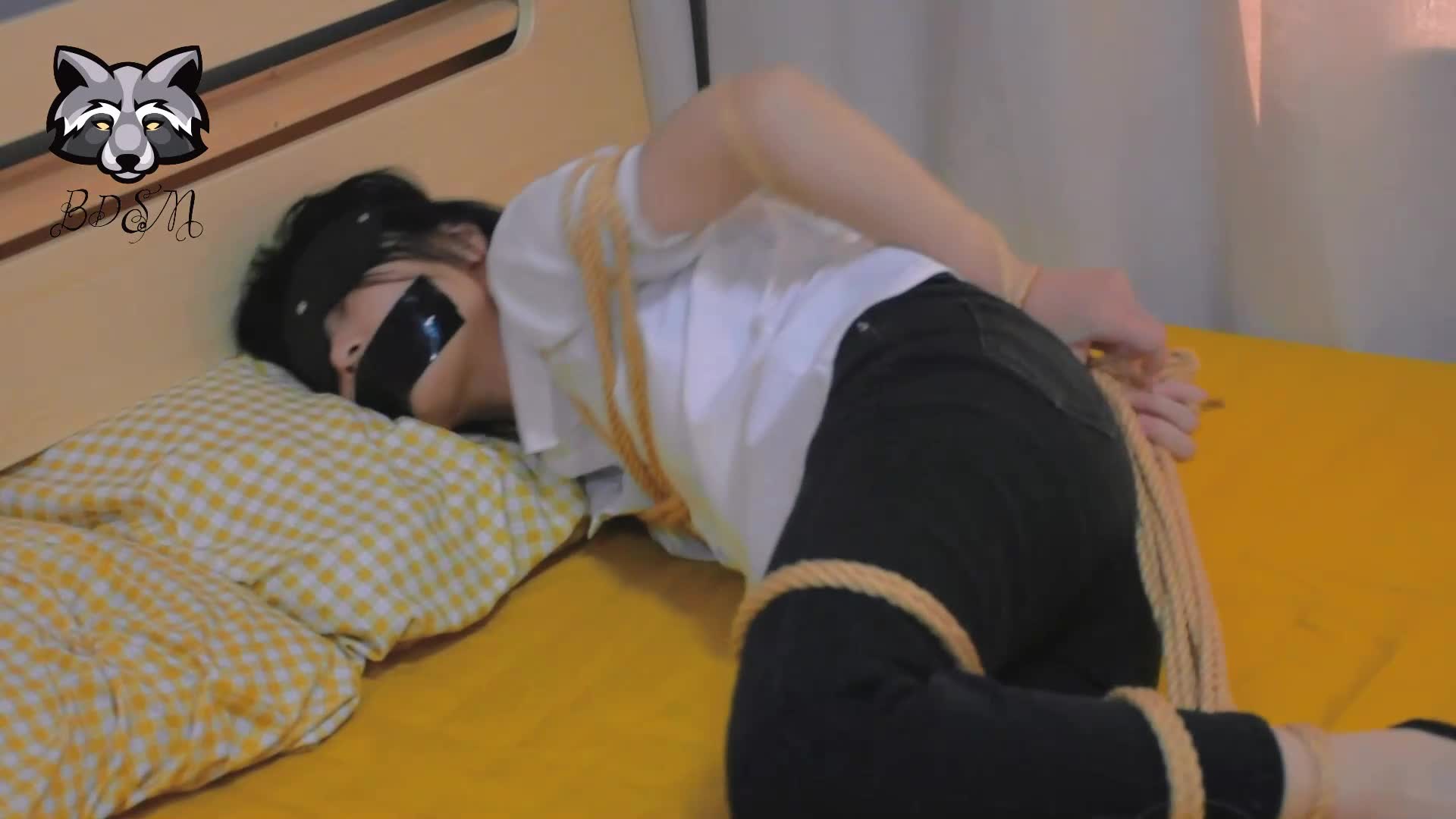 【浣熊】 剧情系列家出监禁